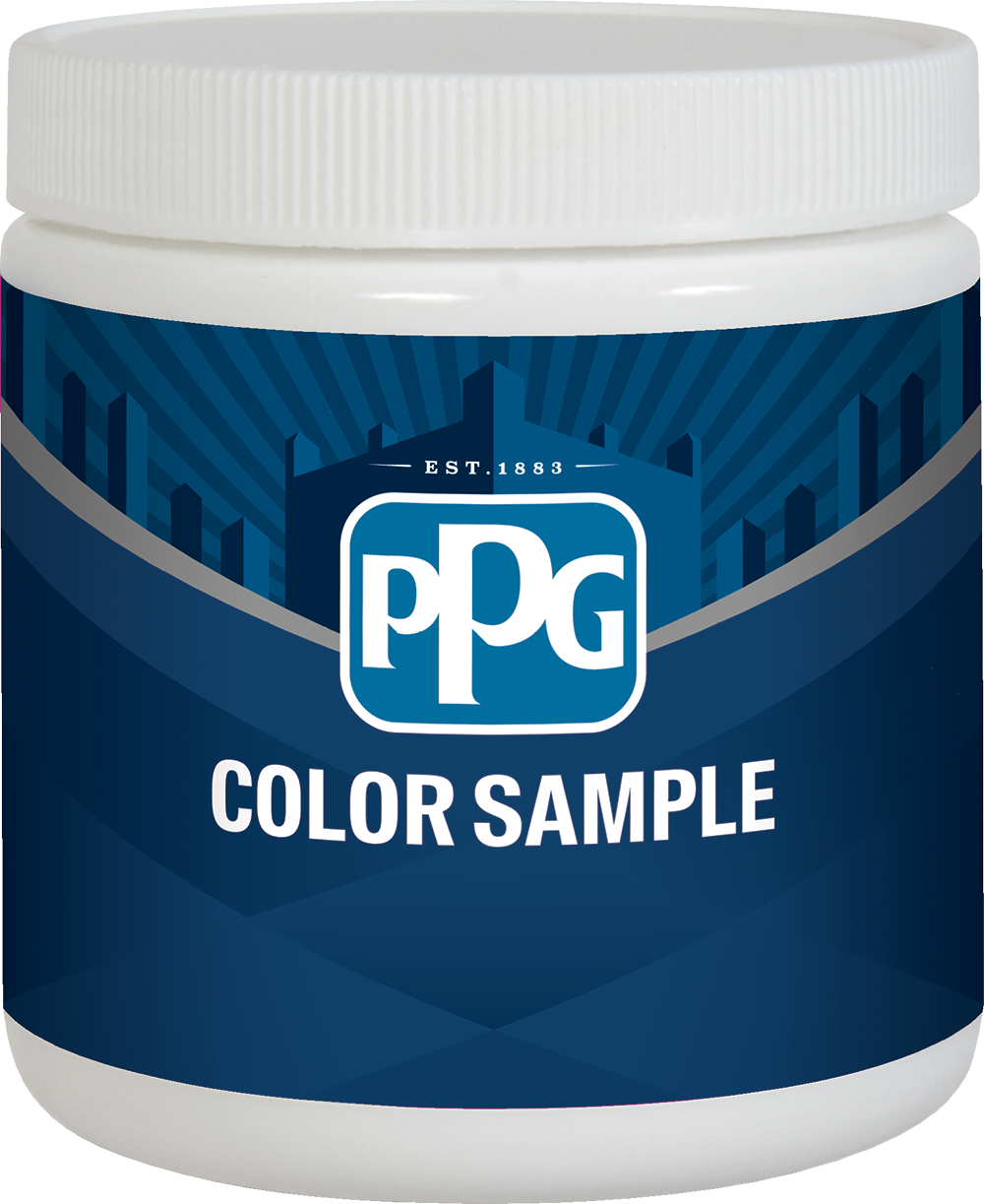 PPG Interior Latex Color Sample