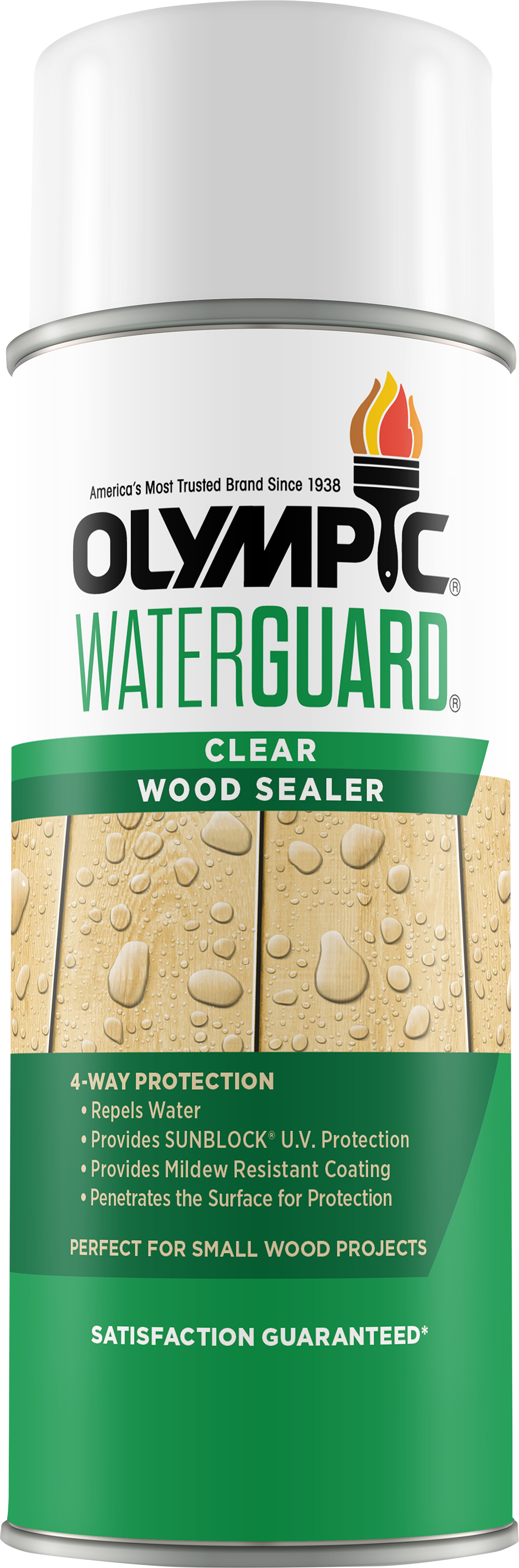 OLYMPIC® WATERGUARD® Clear Wood Sealer - Aerosol