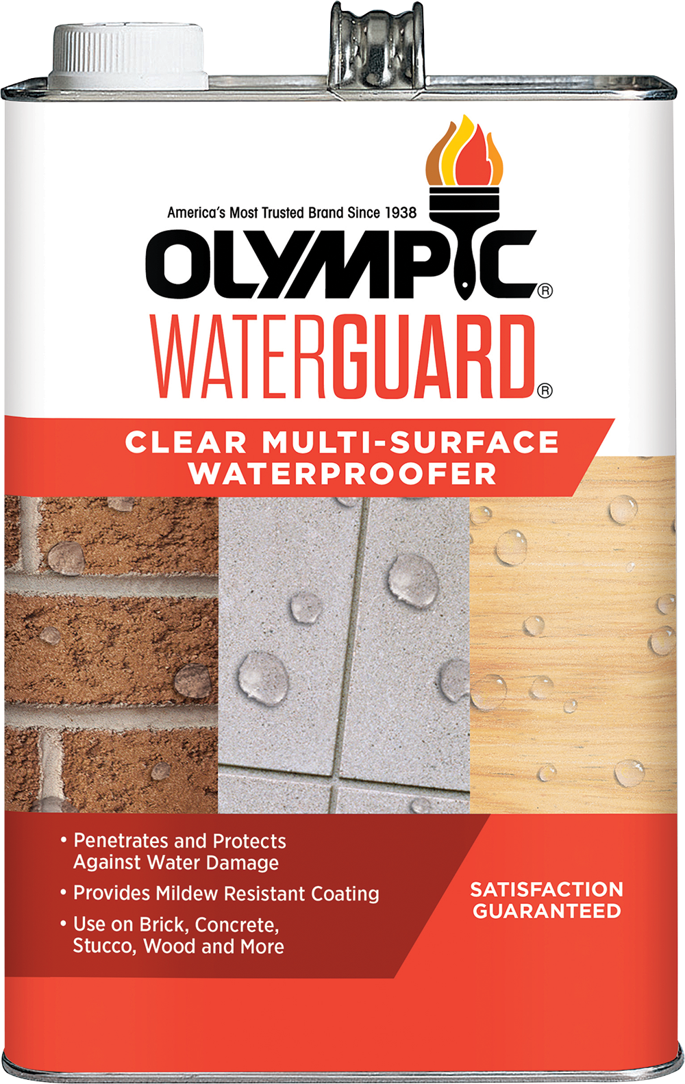 OLYMPIC® WATERGUARD® Exterior Clear Multi-Surface Waterproofer