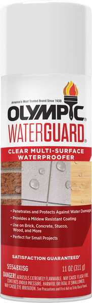 OLYMPIC® WATERGUARD® Clear Multi-Surface Waterproofer - Aerosol