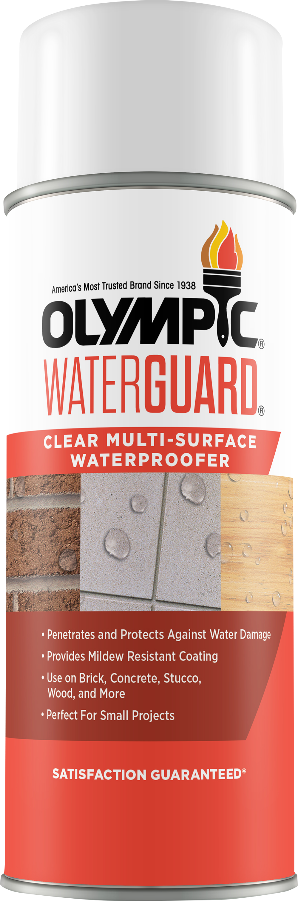 OLYMPIC® WATERGUARD® Clear Multi-Surface Waterproofer - Aerosol
